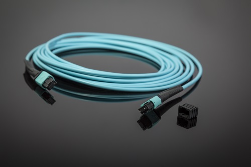 Patchcord MPO